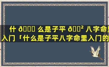 什 🐈 么是子平 🌲 八字命里入门「什么是子平八字命里入门的人」